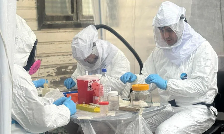 Analizarán la presencia o no de Hantavirus