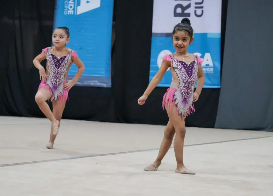 photo_5026278610671087296_y