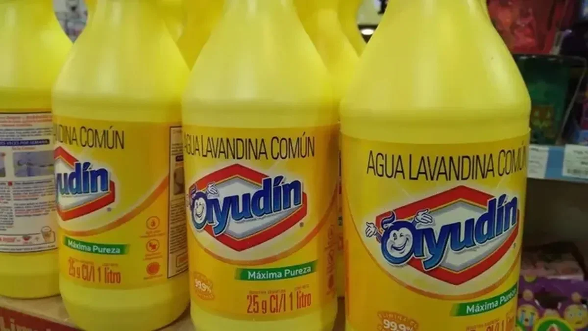 Newsan negocia la compra de Ayudín y analiza producir sus productos en Tierra del Fuego
