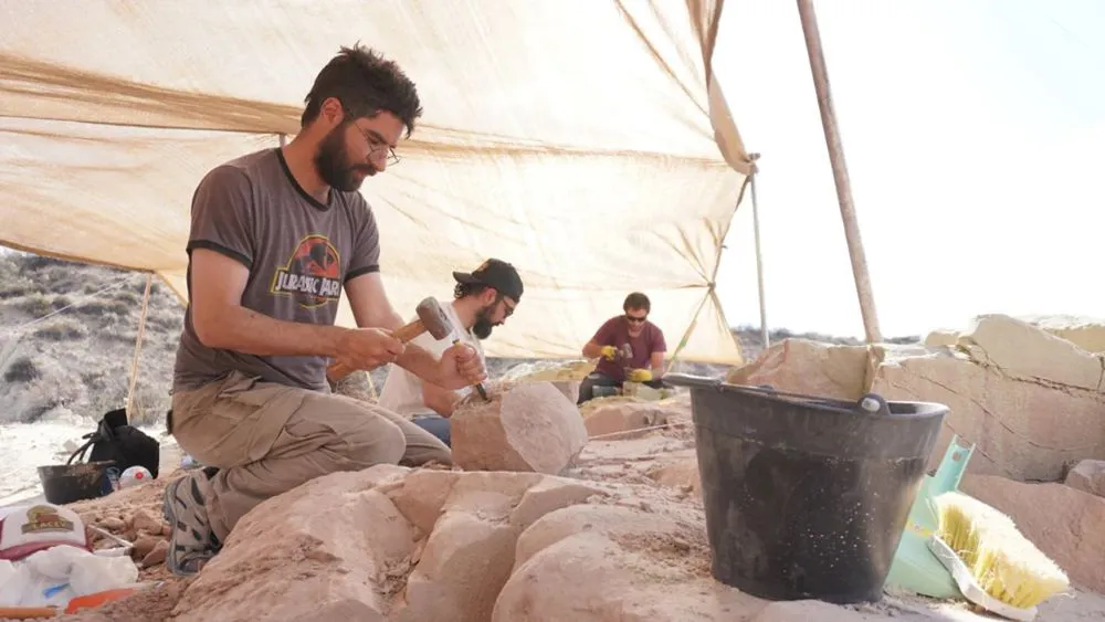 Imagen de WhatsApp 2025-10-07 a las 12.17.04_a42cc871