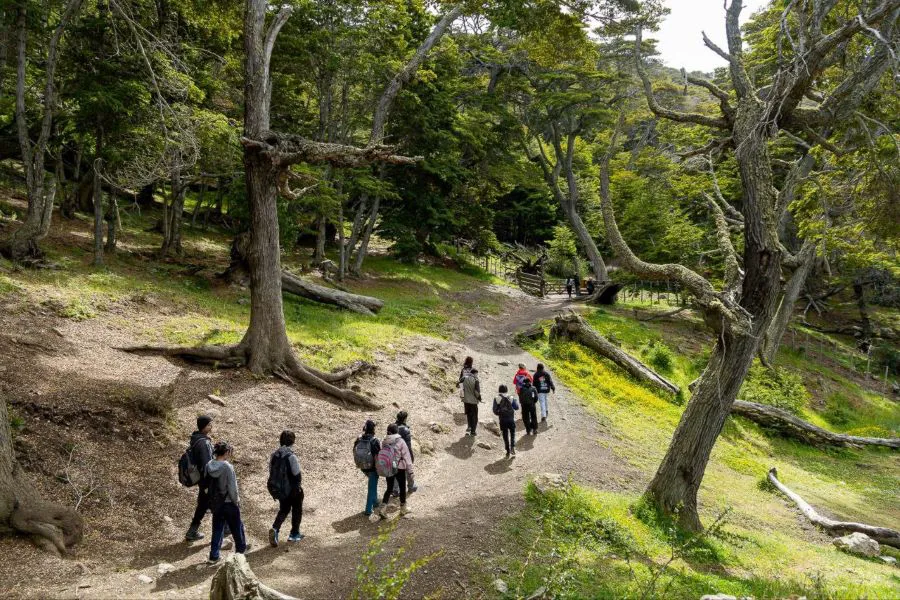 photo_4915826427077266269_y