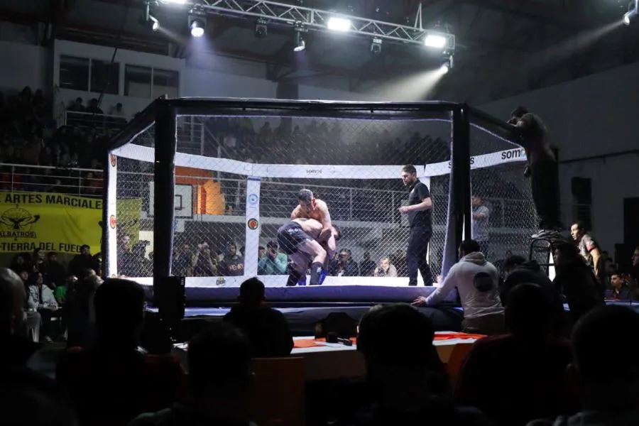 photo_5102858483149155725_y