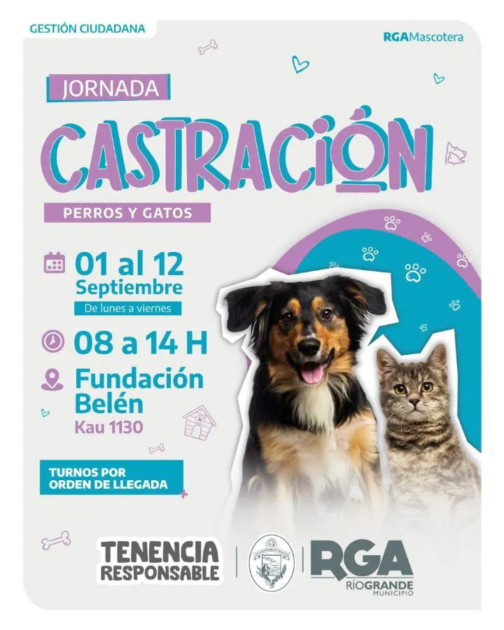 photo_5014832591546723847_y