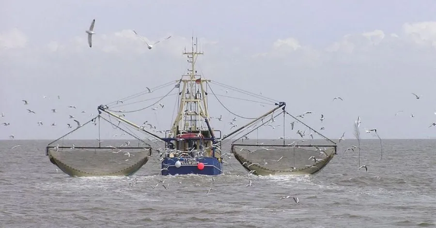 articulos_13029_1_210403_377220