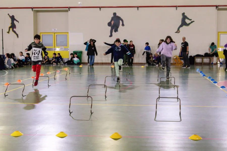 photo_5041815568965021492_y