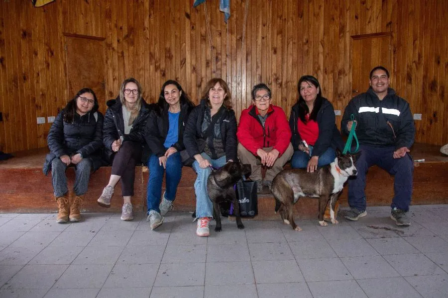 photo_4996867787024608989_y