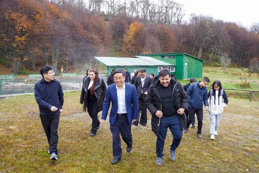 photo_4929262377560551122_y