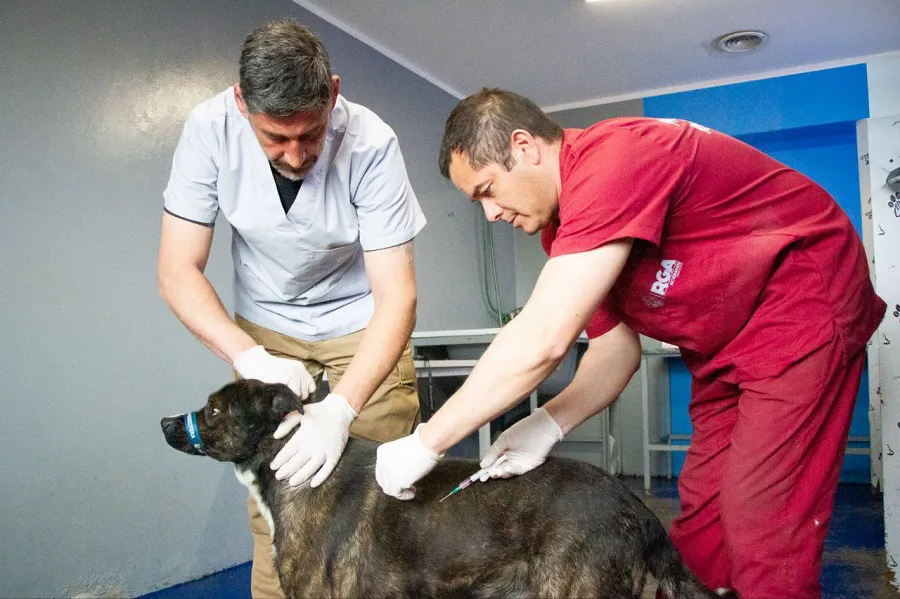 photo_5125098042851175903_y