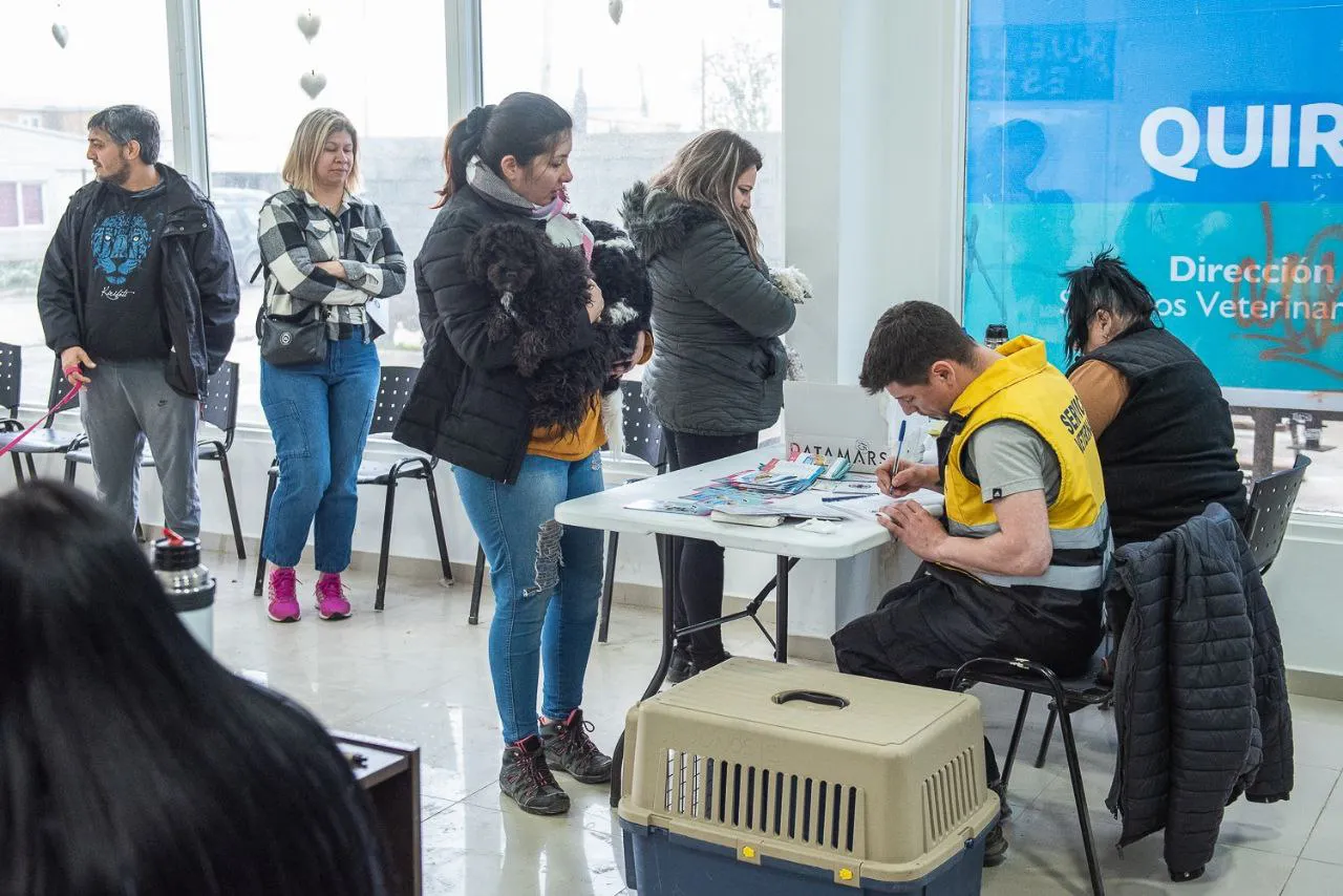 Este sábado comenzó la jornada de castración de mascotas en Río Grande