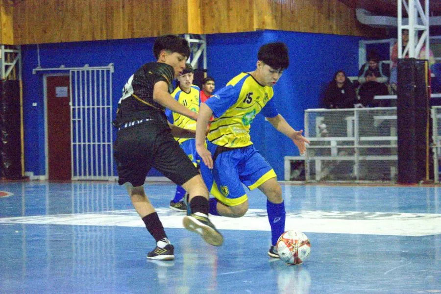 photo_5120998432142634822_y