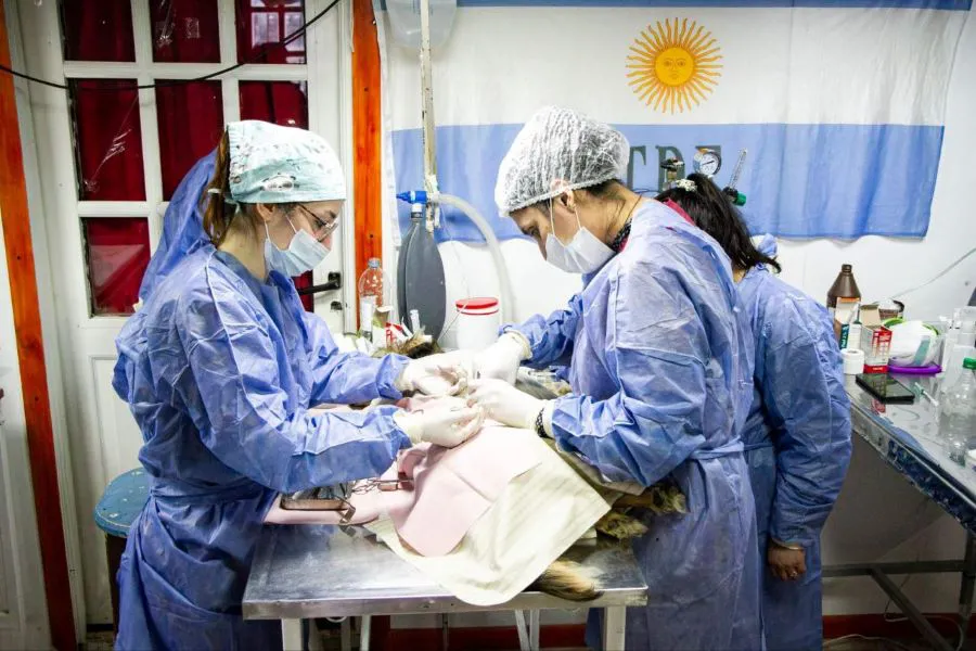 photo_5057940791749619382_y