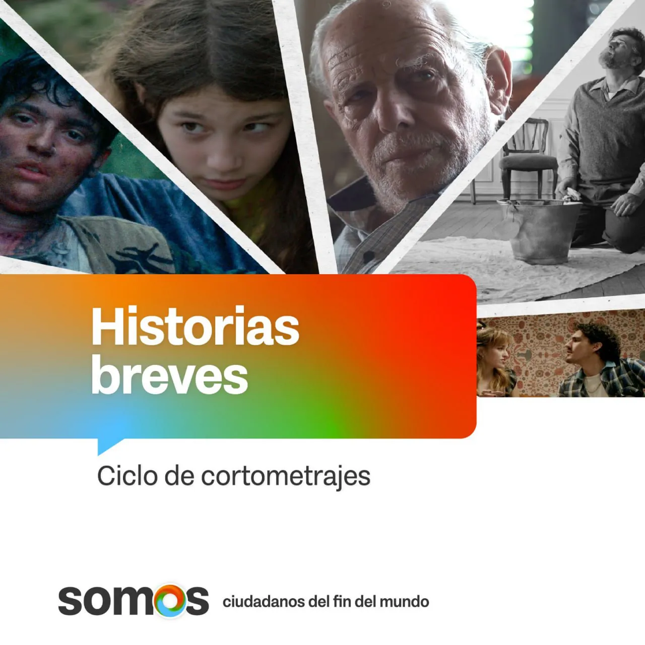 photo_5118801036679687481_y