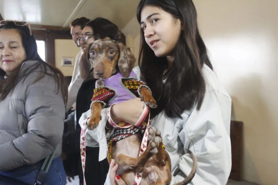 photo_5062180036139921369_y