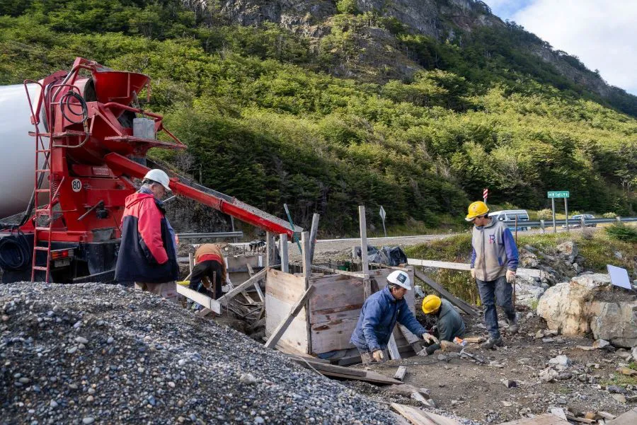 photo_4952130479960296584_y