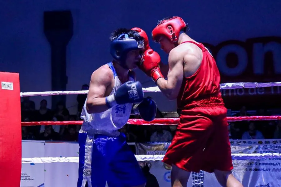 photo_5141408670784007446_y