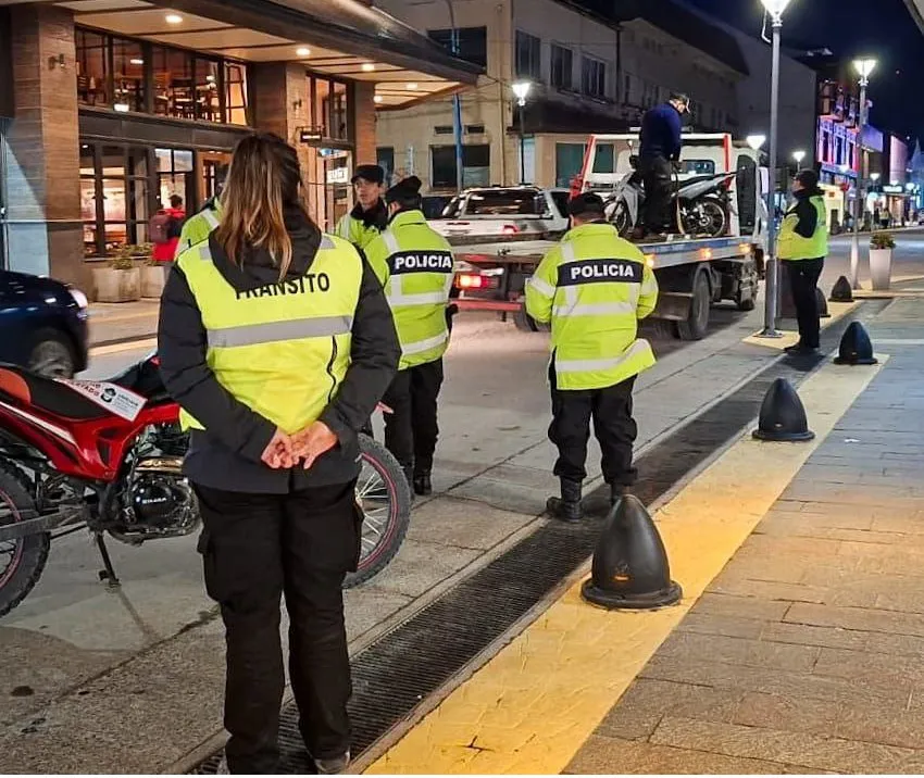 photo_4929704510087695128_y