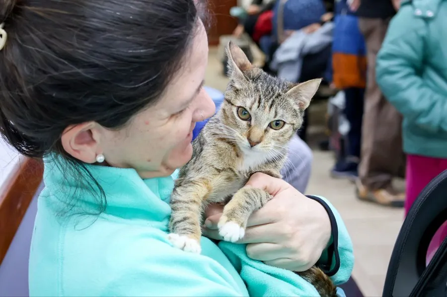 El sábado habrá una nueva jornada de vacunación antirrábica y chipeo a mascotas