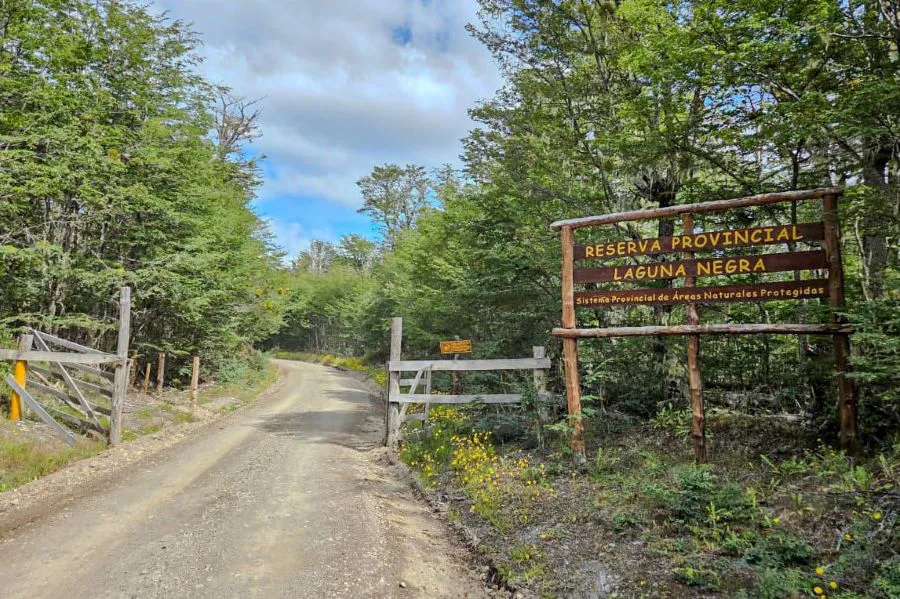 photo_5177036661458668496_y