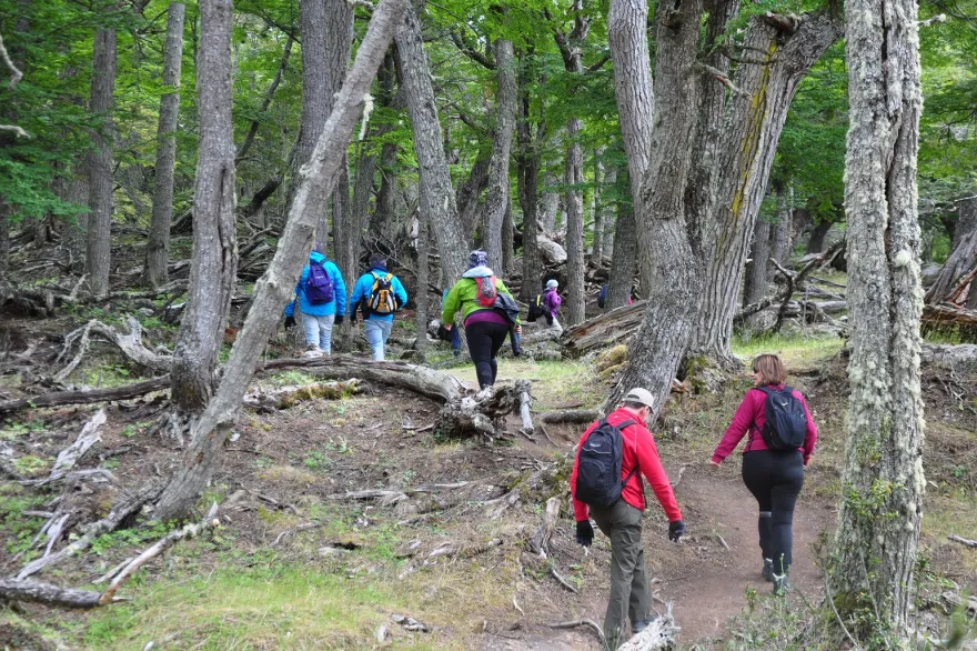 Comenzó el proyecto “Senderos Accesibles” sobre los ocho recorridos más transitados