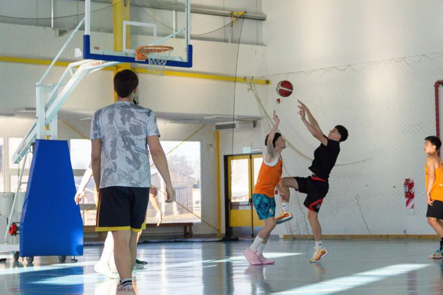 photo_4959004661013132082_y