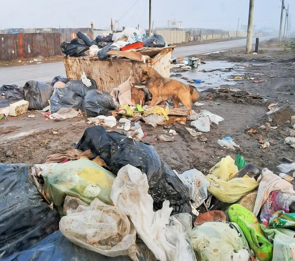 Solicitan una mayor responsabilidad a la hora de arrojar basura a la vía pública (1)