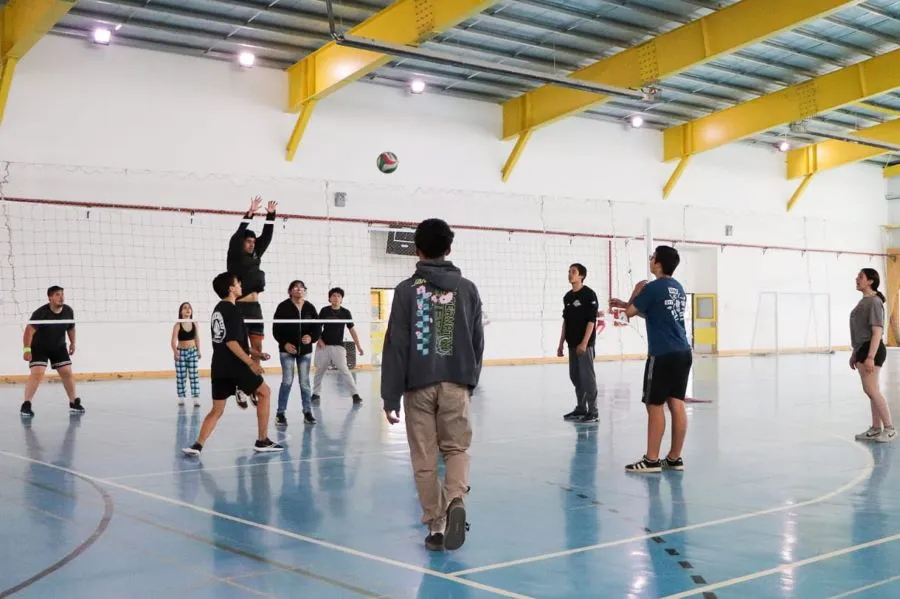 photo_5015251462527234177_y