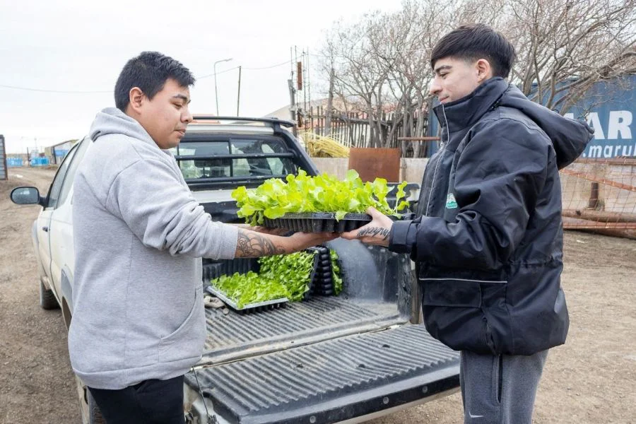 Abren inscripciones para la entrega de plantines del programa ‘Soberanía Alimentaria’