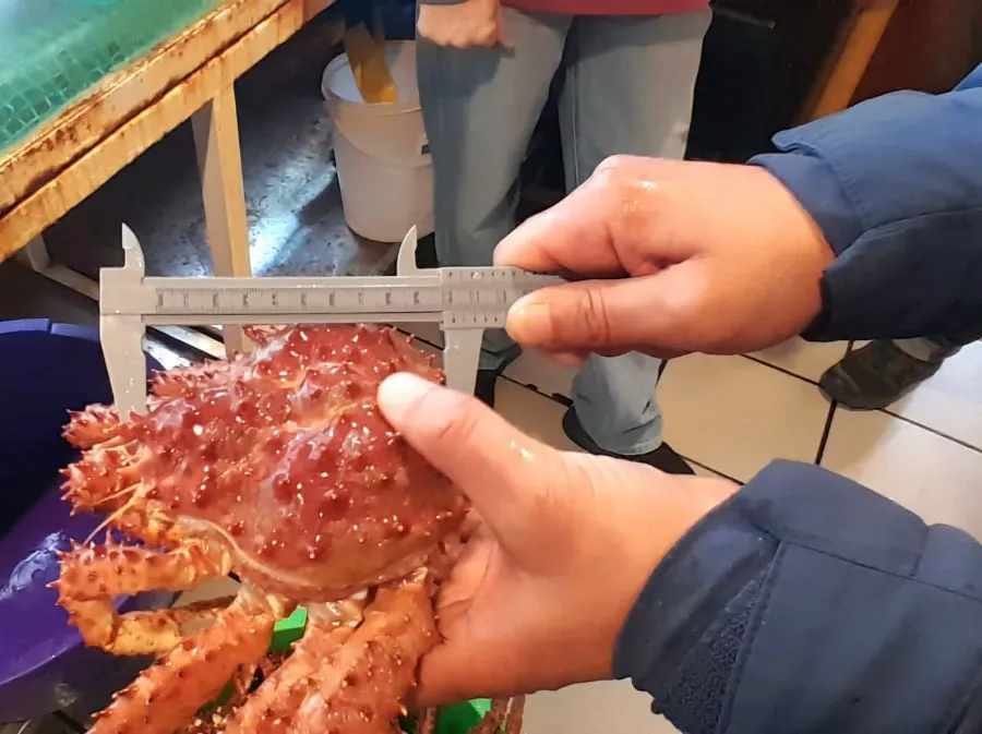 photo_5001513713278234551_y