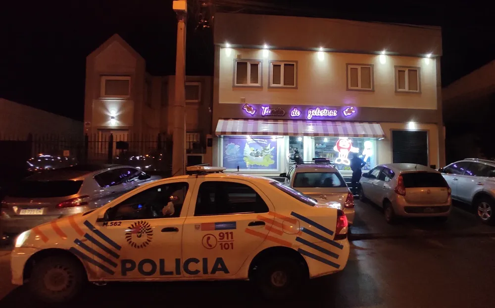 Dos personas fueron detenidas por intentar robar en dos comercios en la madrugada (1)
