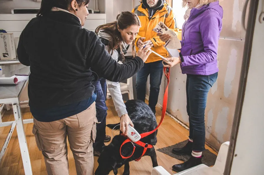 Este viernes finalizan las jornadas especiales de vacunación antirrábica en Ushuaia