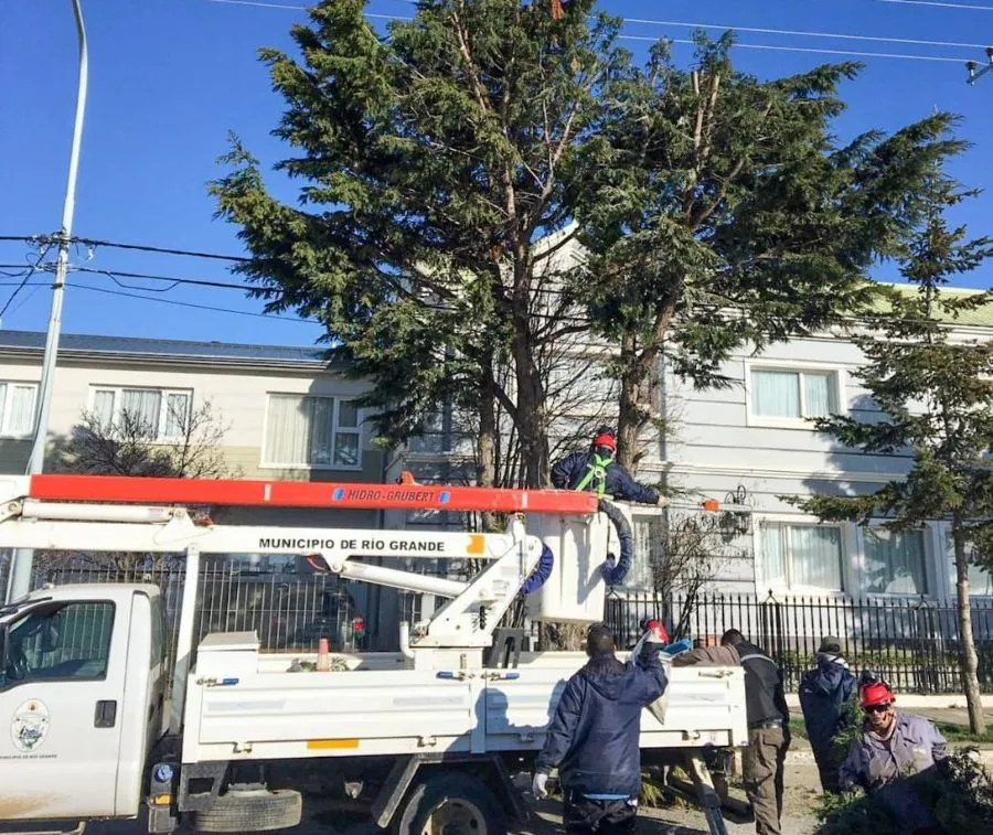 photo_5177386044163296183_y