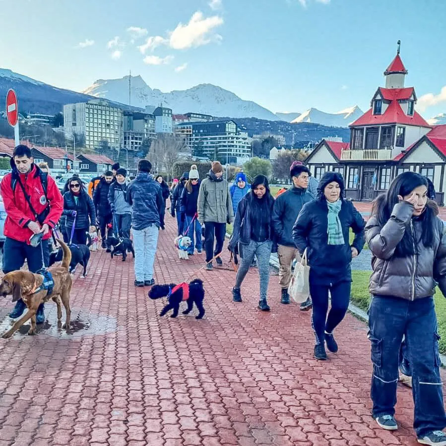 photo_5042105556566912645_y