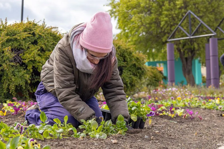 photo_4995037701463542707_y