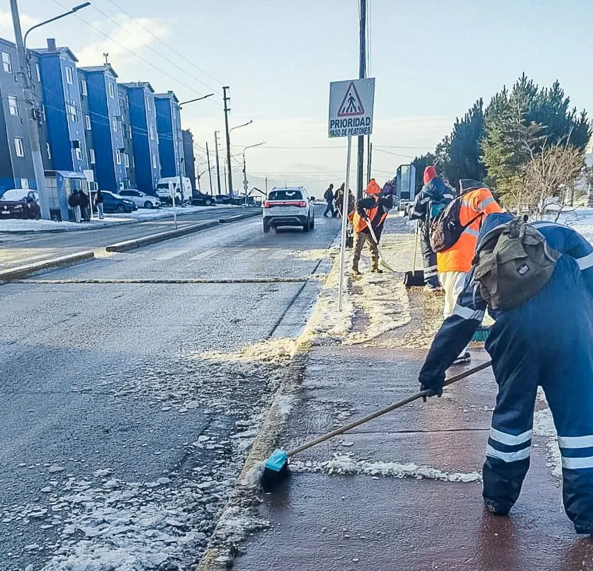 photo_5001697782691639278_y