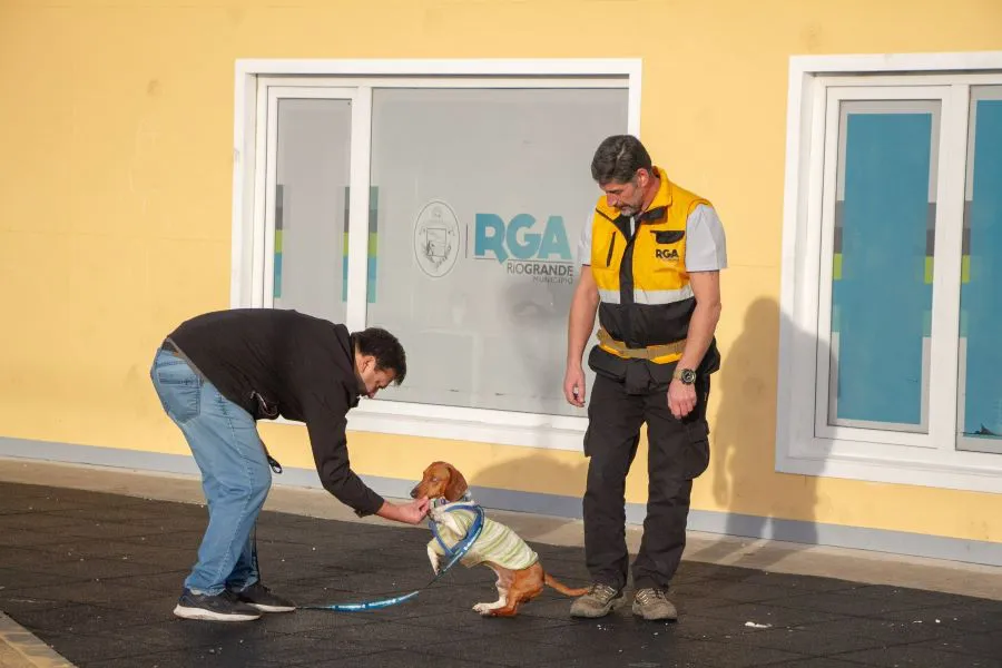 photo_5042304027005661297_w