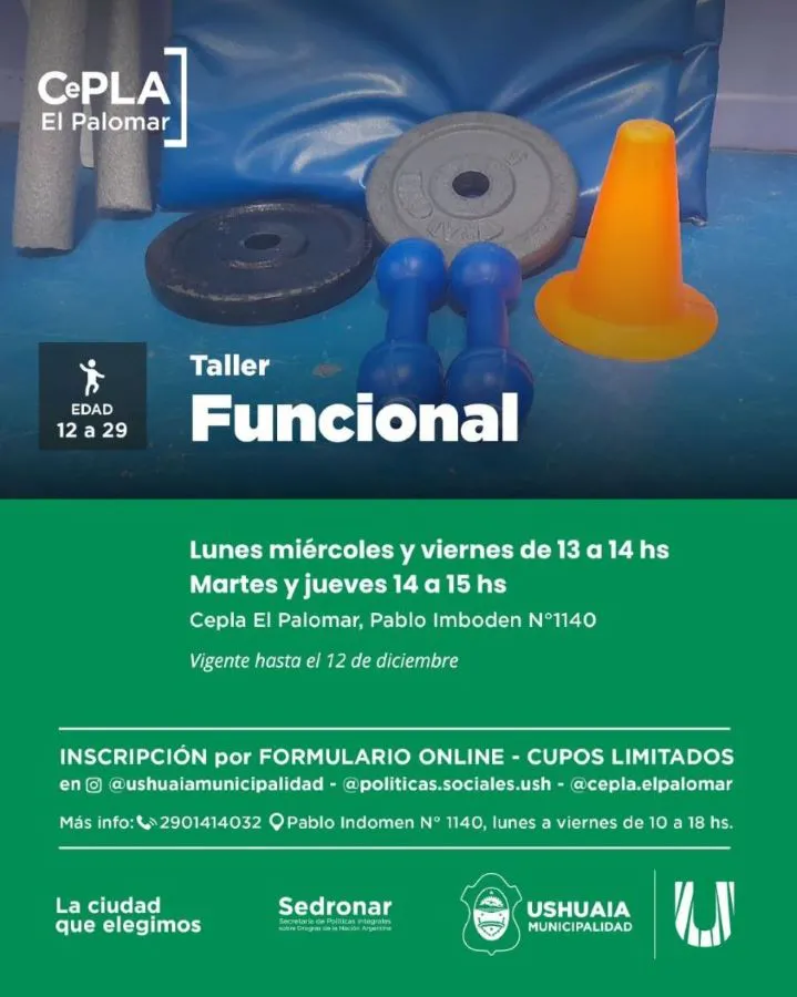 photo_5028393942193909464_y