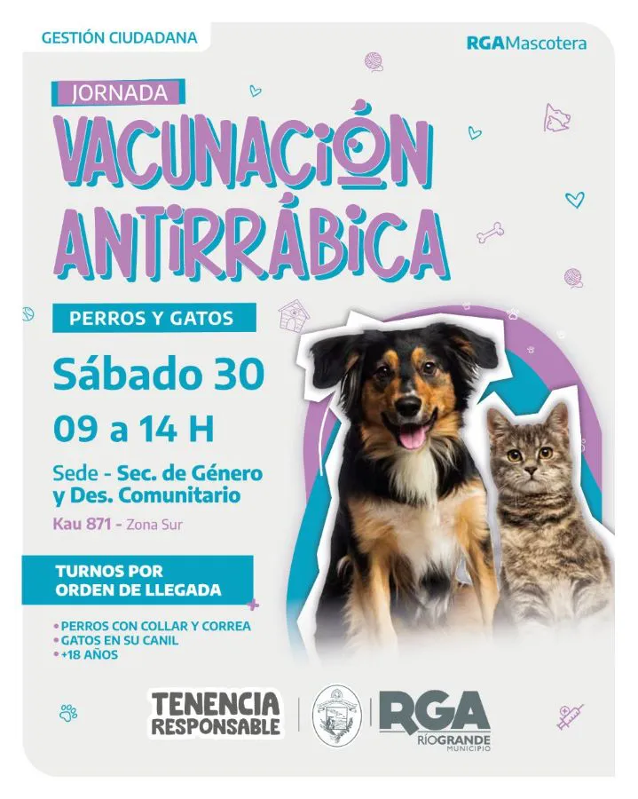 photo_5010328991919353845_y