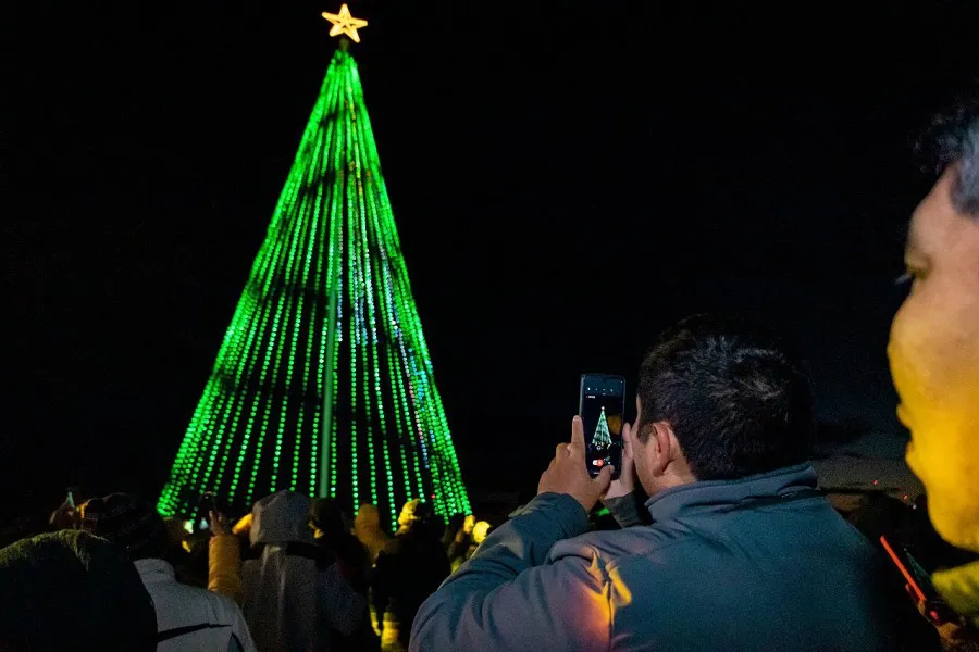 Ushuaia celebró con el encendido del Árbol de Navidad con shows musicales (3)