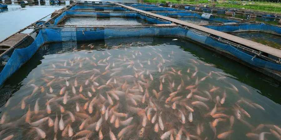 WhatsApp Image 2025-12-16 at 21.15.01