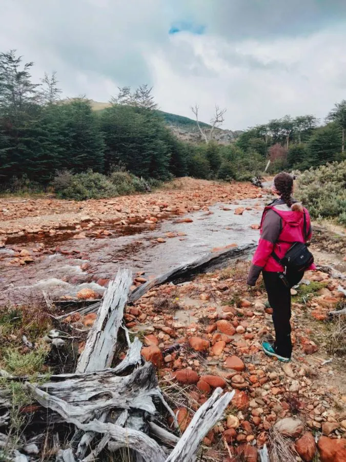 photo_4996913515541409356_y