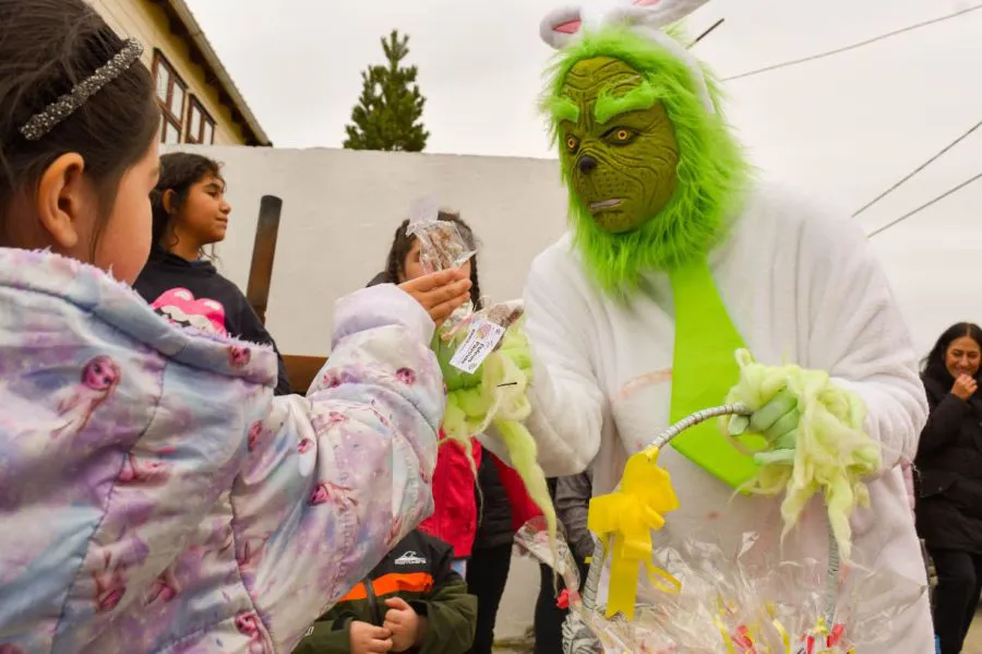 photo_4911528118292950651_y