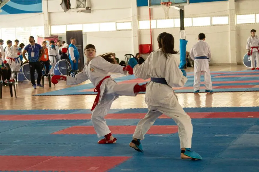 photo_5116266589366979530_y