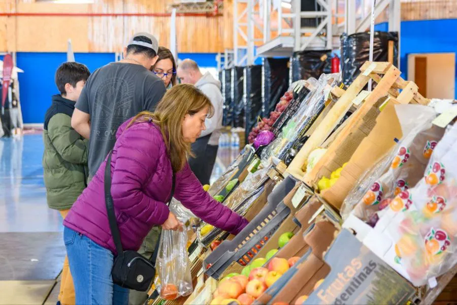 photo_5179377199587897473_y