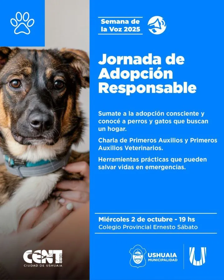 photo_5082783604147948495_y