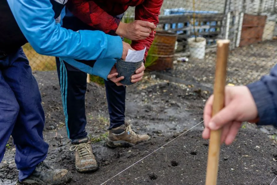 photo_4936447226486567125_y