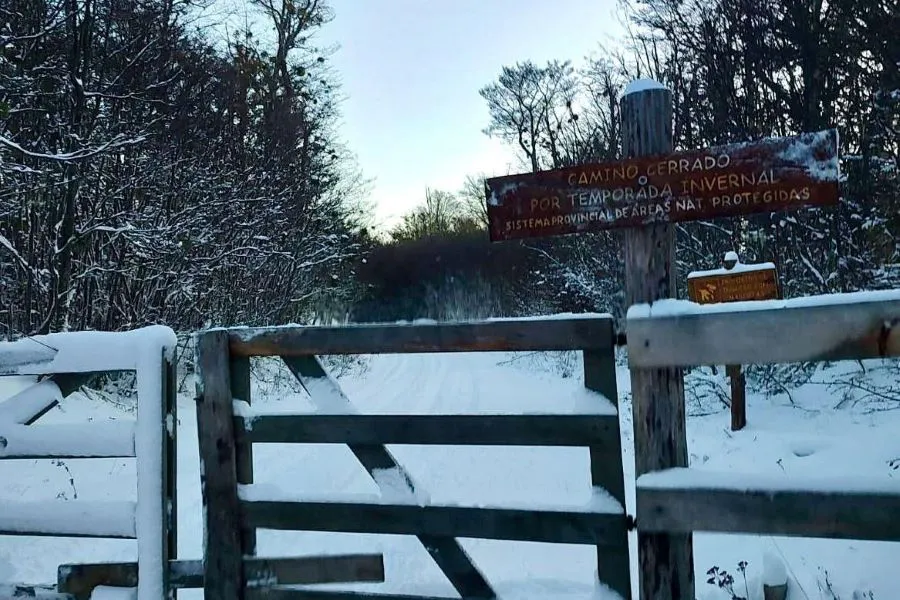 photo_5012542583703973562_y