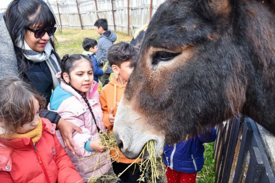 photo_4942991137446759275_y