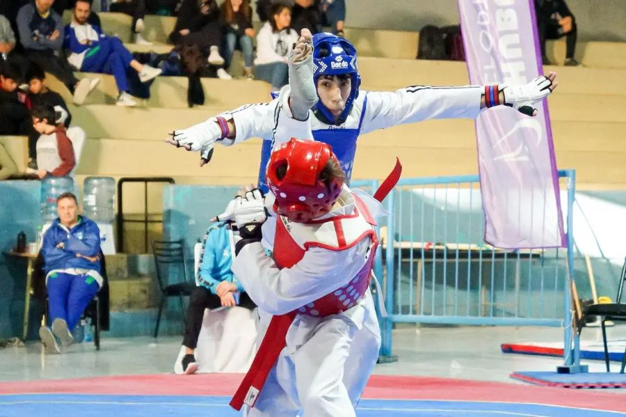 photo_4918460139674120022_y