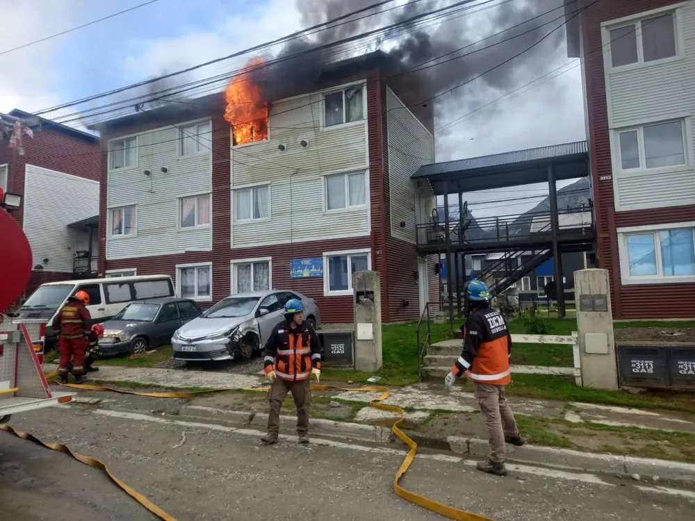 WhatsApp Image 2026-03-05 at 22.05.42 (1)