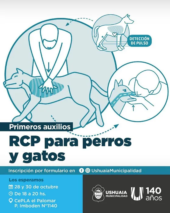 Dictarán una capacitación en RCP y Primeros Auxilios para perros y gatos (2)